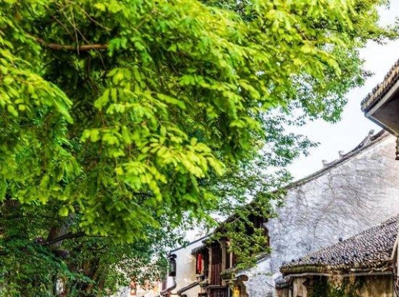 中国最不能辜负的12个古镇 累了就去小住几日吧